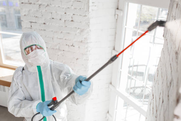 Dehumidification Services in Shelby, MI