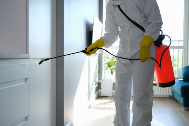 Best Commercial Mold Inspection  in Shelby, MI