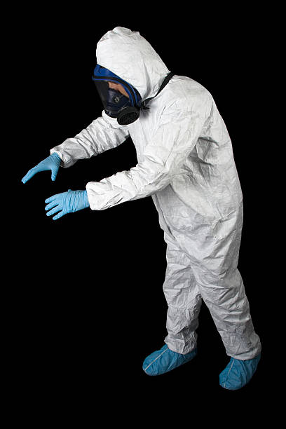 Professional Mold Removal in Shelby, MI