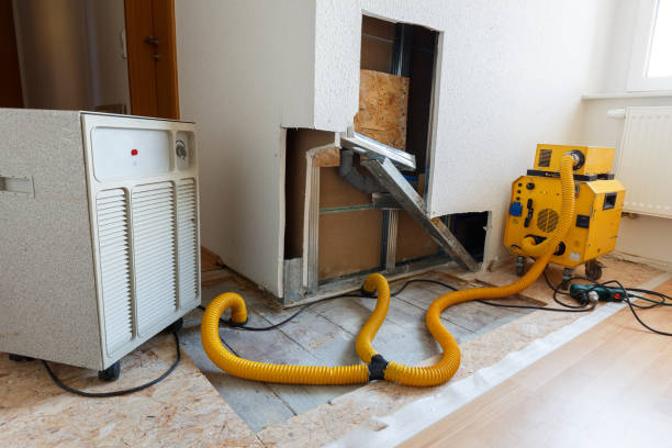Best Environmental Consulting for Mold Prevention  in Shelby, MI