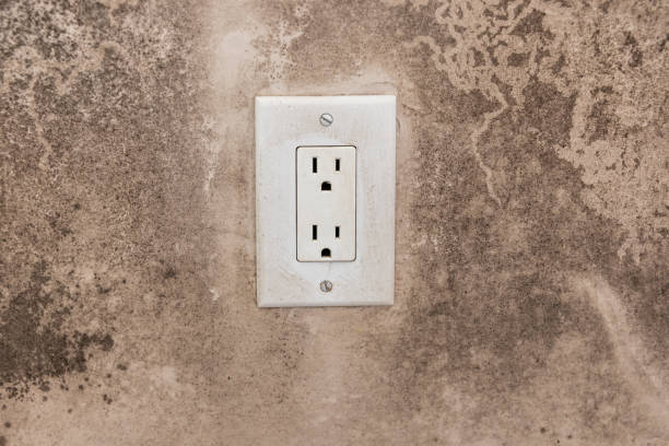 Best Asbestos and Lead Testing During Mold Inspection  in Shelby, MI